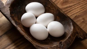 leghorn chicken breed eggs